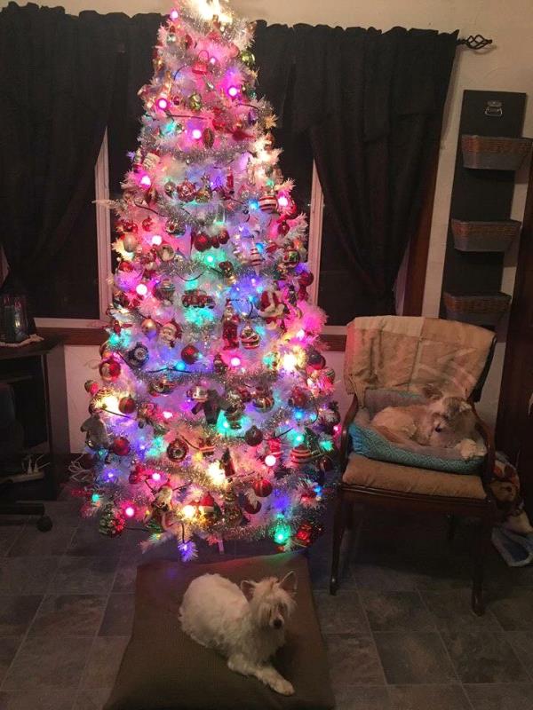 /Images/uploads/Minnesota Spay Neuter Assistance Program/MNSNAP/entries/9499.jpg